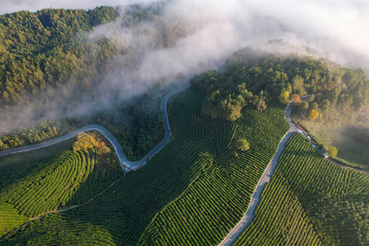 為了人民美好生活接續(xù)奮斗——智庫報(bào)告解析中國鞏固拓展脫貧攻堅(jiān)成果的實(shí)踐與理論創(chuàng)新